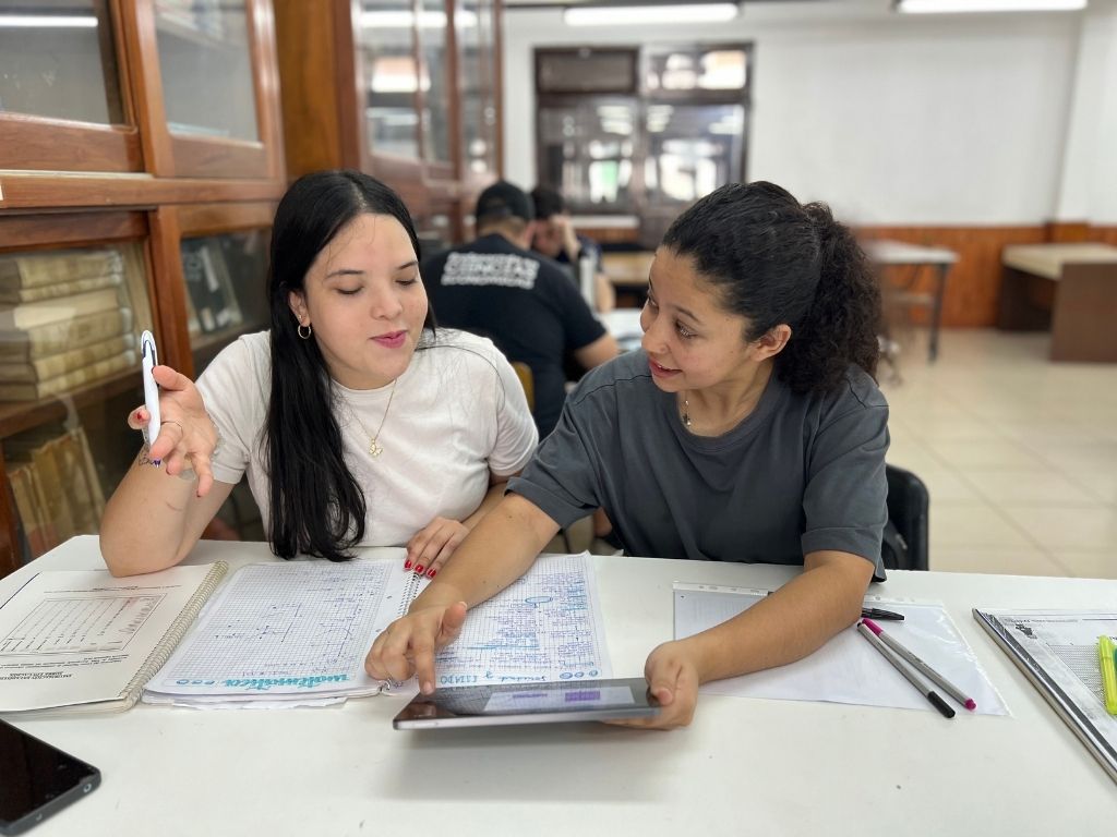 Técnico en Investigación Socioeconómica